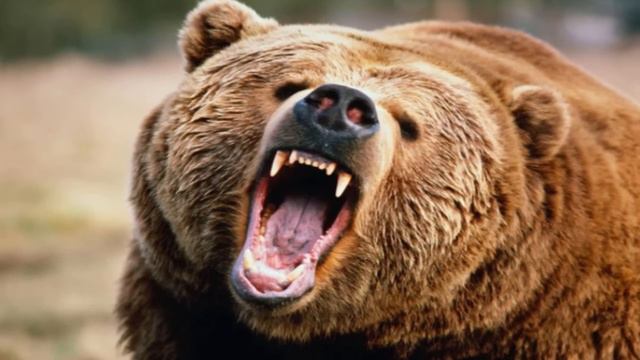 7 FACTS OF THE USA THAT WILL BLOW YOUR MIND!🇦🇨🇺🇸 смотреть онлайн