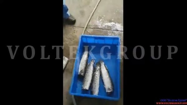 Головорез дисковый VG 380