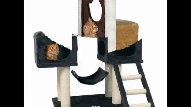 домик для кошки из поролона смотреть онлайн