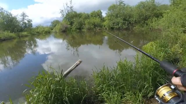 Рыбалка в новых местах)), Kosadaka META укрепляет позиции)) смотреть онлайн