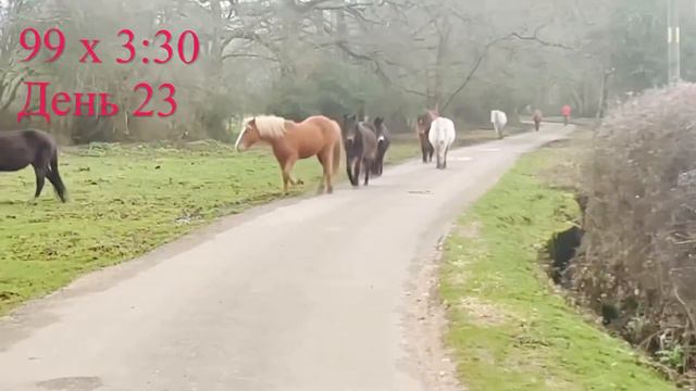 День 23: «Об Экологии» 🏃🏻♂️🏃🏻♀️🌏 смотреть онлайн