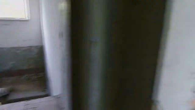 В зеленых кустах прячется первозданное зло.Ему нужно кушать. смотреть онлайн