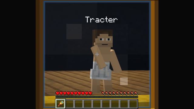 Zoey Is Having a BABY In Minecraft! смотреть онлайн