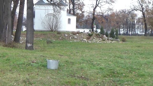 Тест Sony HDR-CX405 смотреть онлайн