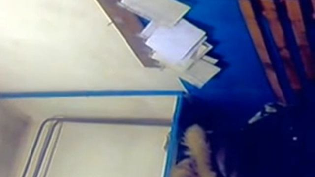 Сестра градостроителя проводит рабочую планерку на КЗСК:) смотреть онлайн