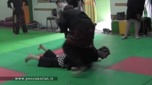 Боевые приемы Пенчак Силат / Indonesian martial art