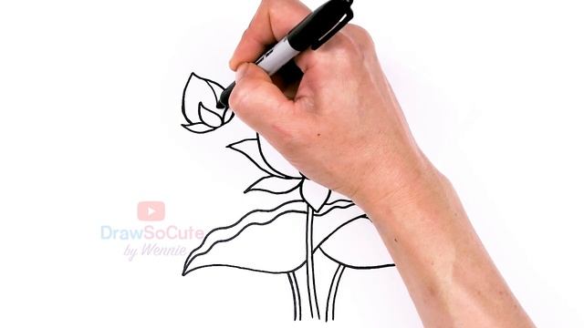 How to Draw a Lotus Flower Easy смотреть онлайн