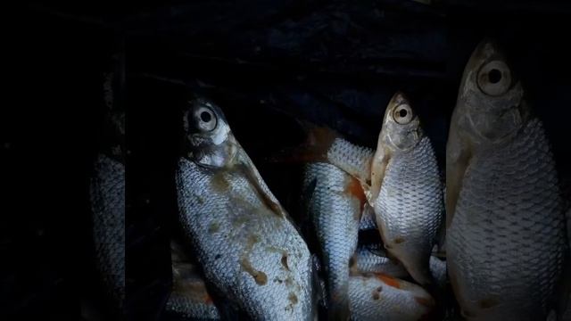 Партизанское водохранилище крым 2018 смотреть онлайн