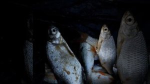 Партизанское водохранилище крым 2018