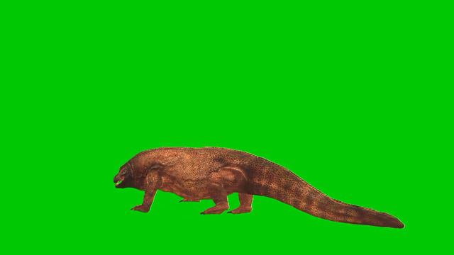 Komodo dragon reptiles green screen смотреть онлайн