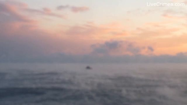 Море парит смотреть онлайн