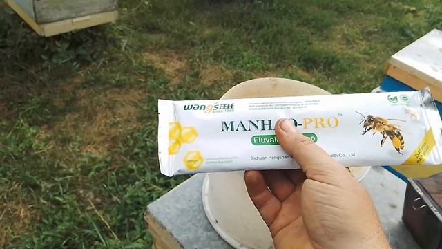 Китайские полоски от клеща Манхао смотреть онлайн