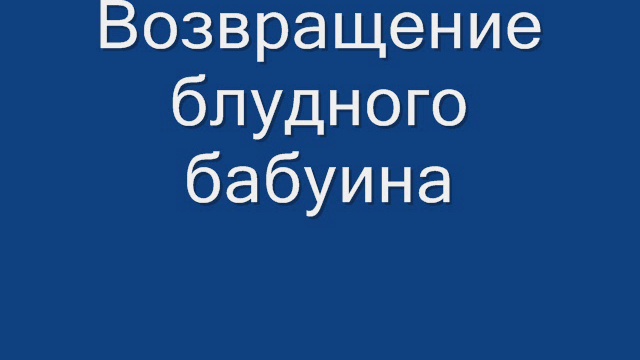 Прощай,Бардак Обама!