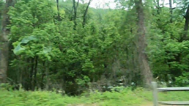 944/ USA .ГОРНАЯ РЕКА В ГОРАХ . RIVER IN GREAT SMOKY MOUNTAINS. смотреть онлайн