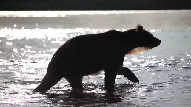 Релакс музыка. Музыка для успокоения