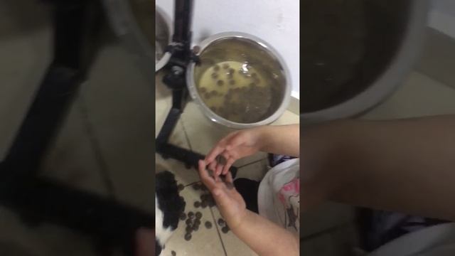 Суп для собаки? ?