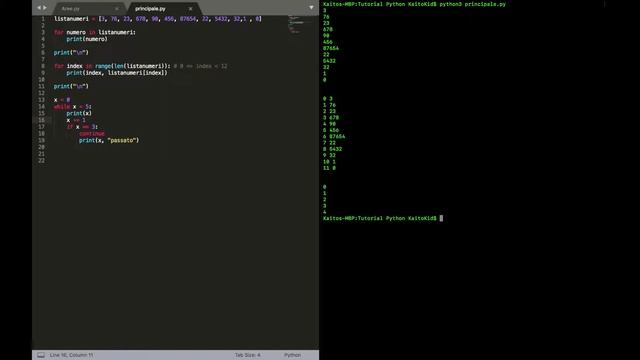 [Python] I loop: for, while e istruzioni break, pass e continue смотреть онлайн