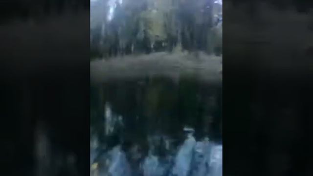 Чюдеса харитоновского парка смотреть онлайн