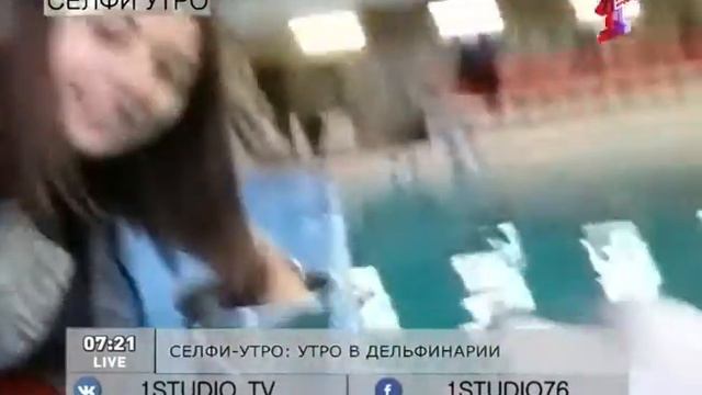 СЕЛФИ-УТРО: утро с дельфинами смотреть онлайн