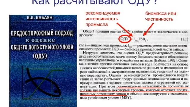 Доклад о косатках смотреть онлайн