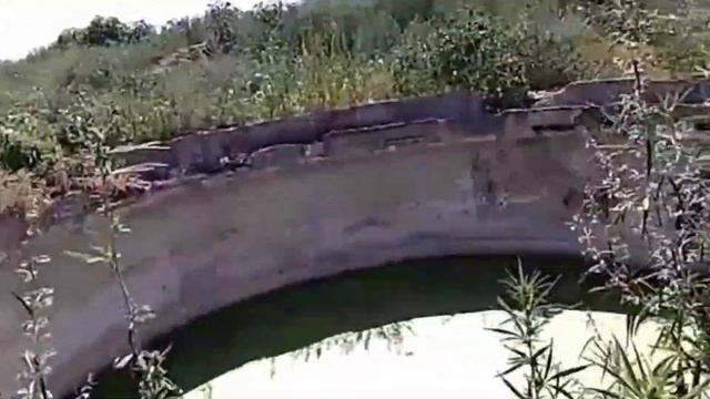 Дафния на водопое и Очистные сооружения смотреть онлайн