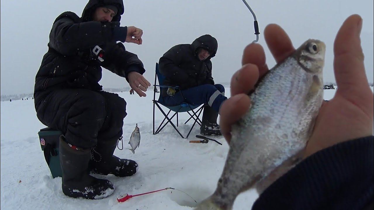 На что клюёт на то и ловим!Разбурили старые лунки.