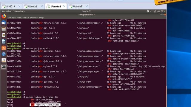 DTR кластер - Подключение к хранилищу - Storage Bind смотреть онлайн