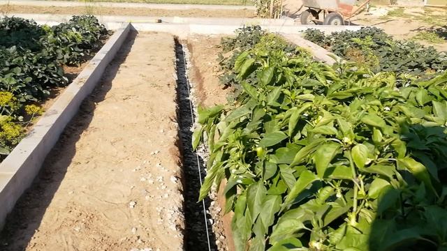 ? УСТАНОВКА БОРДЮРОВ СВОИМИ РУКАМИ