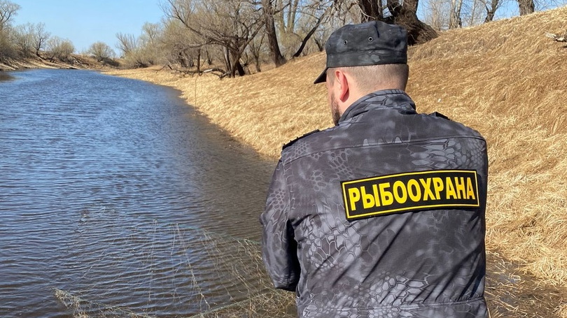 В предвкушении нереста смотреть онлайн