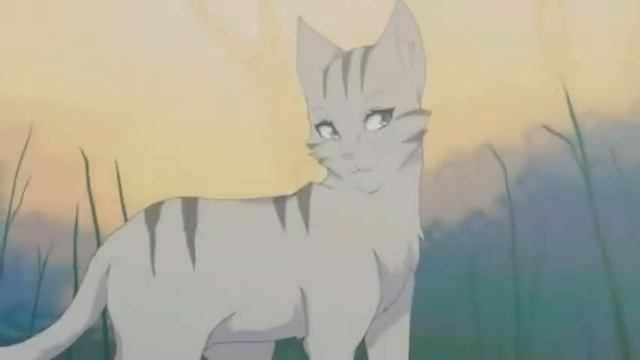 Коты воители: Серебрянка и Крутобок. Мне нравится