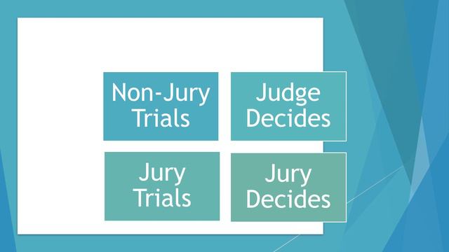 1 4 4 Understanding the Court Process смотреть онлайн