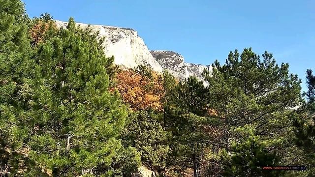 Крым. За грибами в лес над Оливой, Мухалаткой и Кастрополем. 14 ноября. Crimea. In the forest смотреть онлайн