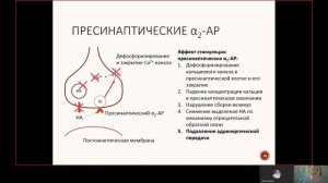 Фарма ВСЕ 3.2. Классификация и механизмы действия адреномиметиков.mp4