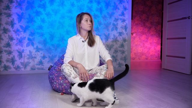 Как научить ребенка самостоятельности. Что делать если ребенок не одевается? смотреть онлайн