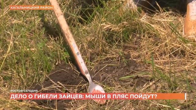 Ростов сегодня: вечерний выпуск. 21 июня 2023 смотреть онлайн