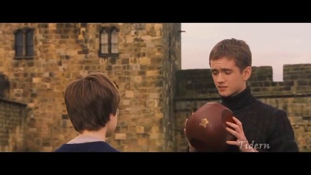 Гарри Поттер и какой-то камень. МудиRYTP смотреть онлайн