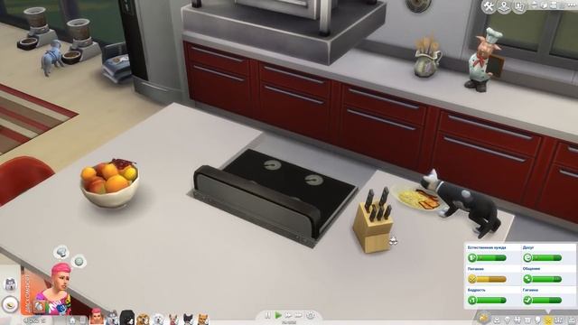 THE SIMS 4 "7 ПИТОМЦЕВ" #1 А ТЫ ВЫДЕРЖИШЬ? смотреть онлайн