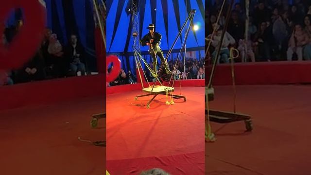 Цирк шапито «Золото Африки» в Кинешме