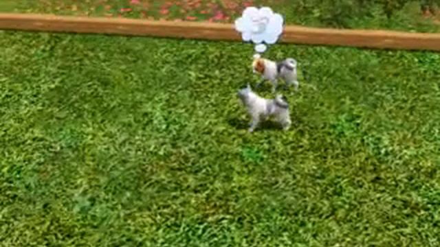 Sims 3 Pets: Papillon Dogs Playing смотреть онлайн