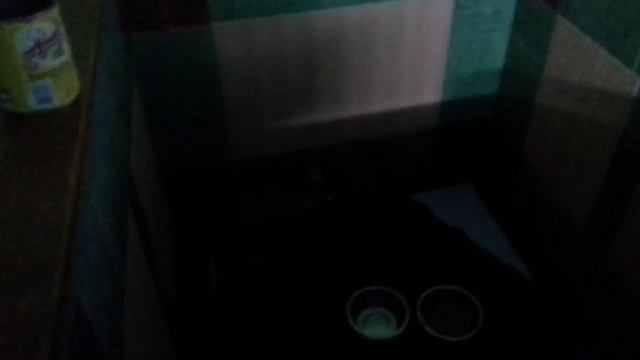 Поездка в приют для животных ЗОО37 смотреть онлайн