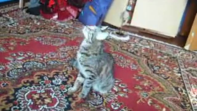 в такт музыке)) смотреть онлайн