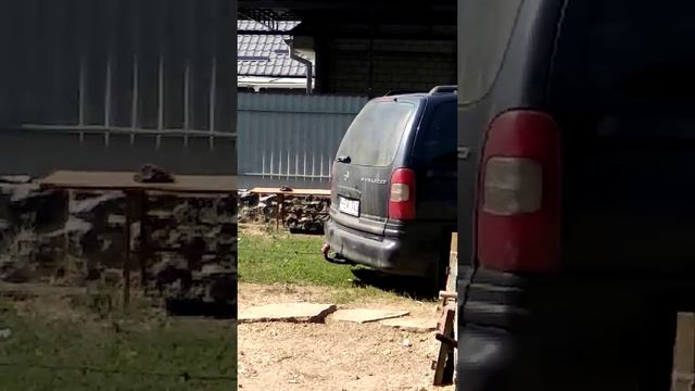 СПОР???? потянет мотоблок синру с места смотреть онлайн
