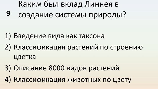 Б9 26 Становление систематики