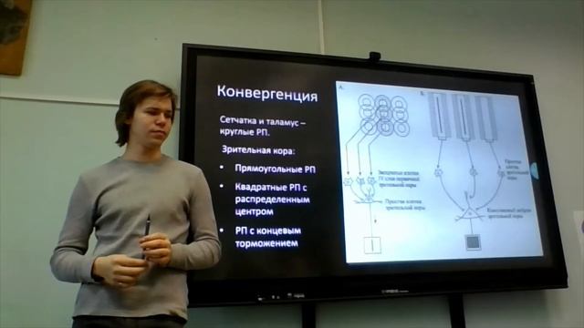 Нейробиология. Лекция 14. Зрительная кора смотреть онлайн