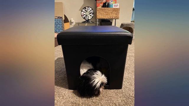 Pet House Ottoman Collection - Collapsible Multipurpose Small Dog or Cat Bed Cube review смотреть онлайн