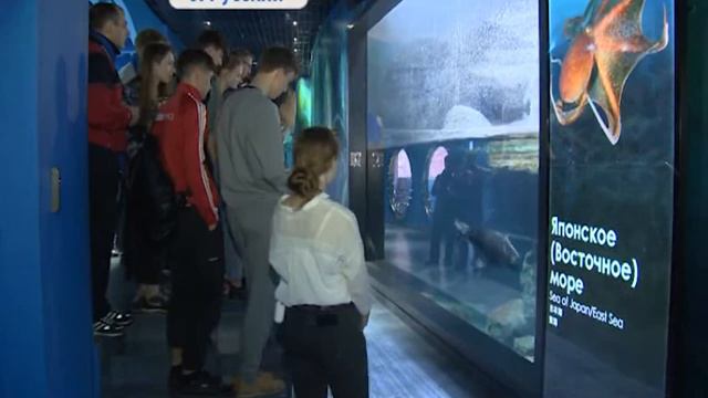 Красоты моря представил Приморский океанариум участникам Дельфийских игр смотреть онлайн