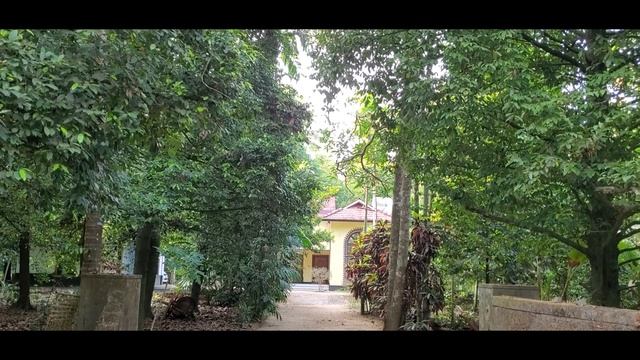 Аюрведический центр Нагарджуна в Керале, Индия / Nagarjuna Ayurvedic Centre In Kerala, India