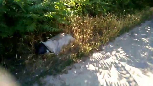 Мусор ...как же он там оказался... смотреть онлайн