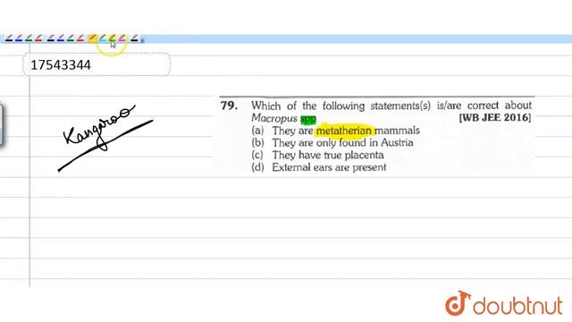 Which of the following statements (s) is/are correct about Macropus spp смотреть онлайн