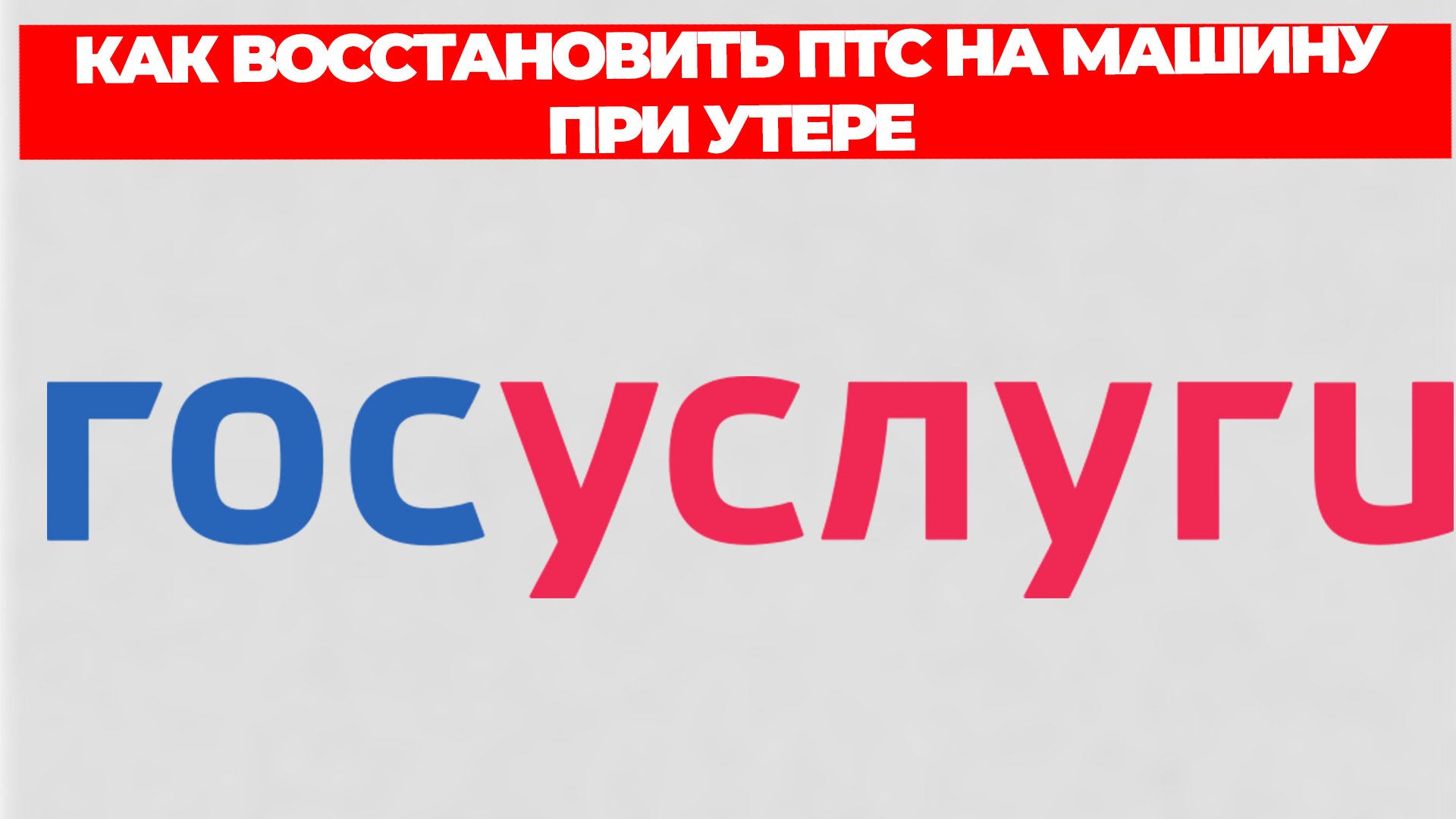 Всезнающий Енот